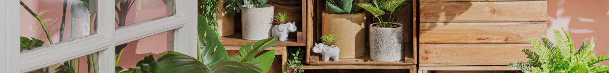 Ideeën om een schutting te decoreren 