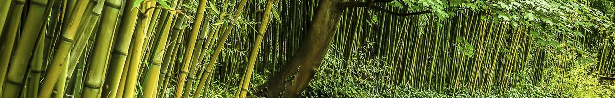 xenos duurzaamheid natuur positief