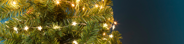 kerstboom verlichting